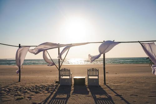 club monet beachfront resort by cocotel fully vaccinated staff