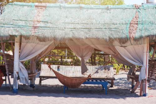 club monet beachfront resort by cocotel fully vaccinated staff