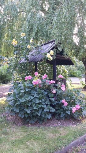 riverfield bed and breakfast