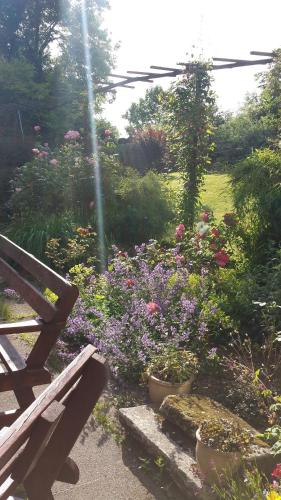 riverfield bed and breakfast