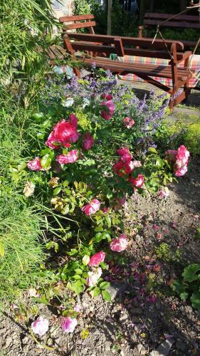 riverfield bed and breakfast