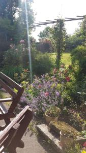 riverfield bed and breakfast