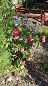 riverfield bed and breakfast