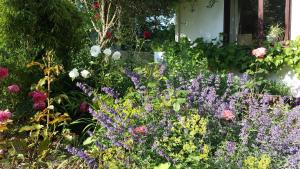 riverfield bed and breakfast