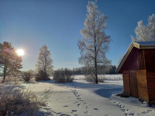 teuva
