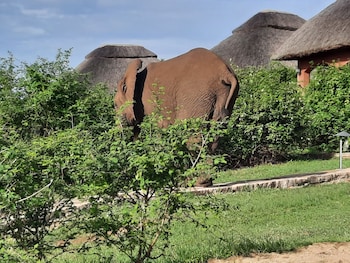 Buffalo Safari Lodge,Kasese>>Bushenyi,3 star