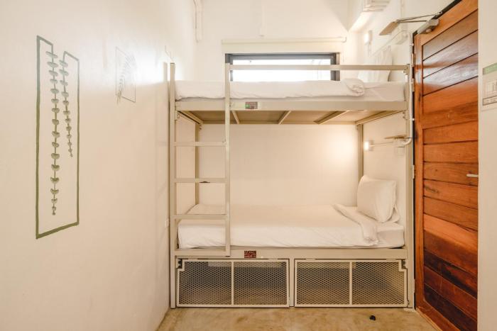 the dearly koh tao hostel