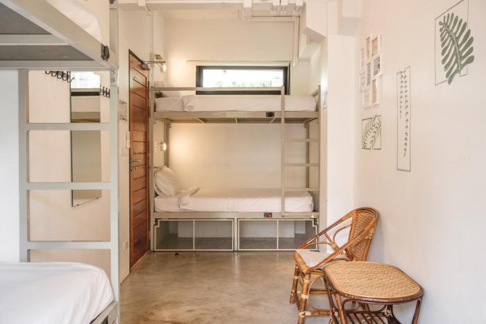 the dearly koh tao hostel