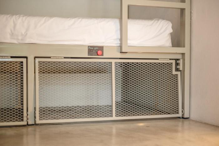 the dearly koh tao hostel