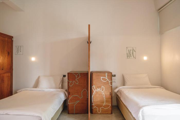 the dearly koh tao hostel