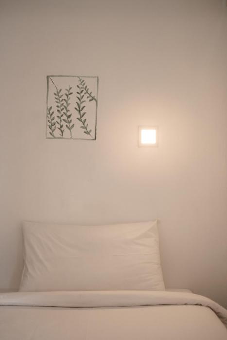 the dearly koh tao hostel