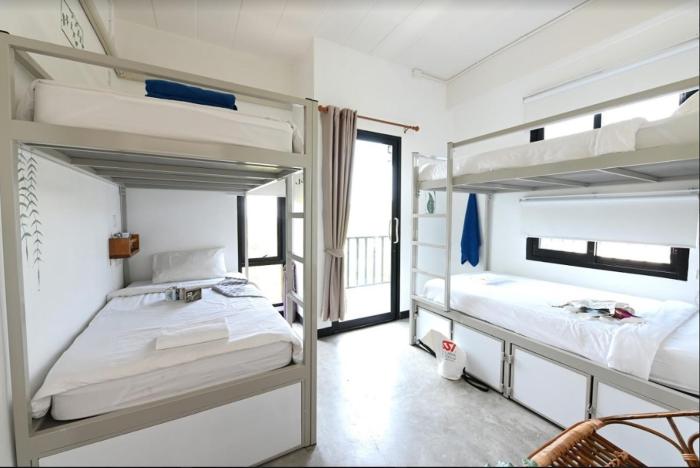 the dearly koh tao hostel