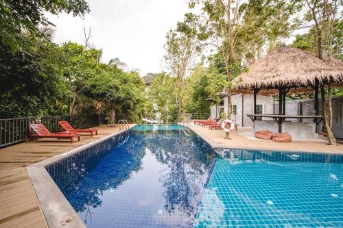 koh tao