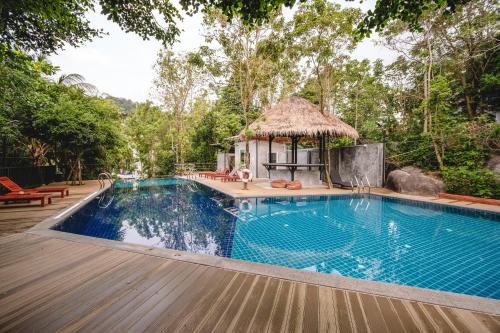 koh tao