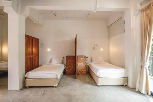 the dearly koh tao hostel