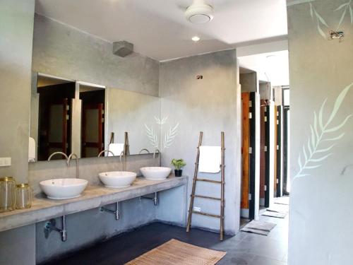 the dearly koh tao hostel