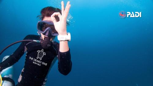 the dearly koh tao hostel