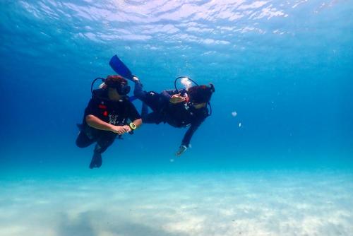 the dearly koh tao hostel