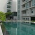 the garden 304