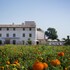 alboraya