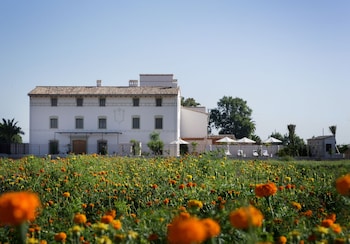 alboraya