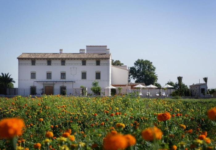 alboraya