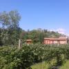 Agriturismo Terra E Lago D'iseo,Lombardy>>Brescia,3 star