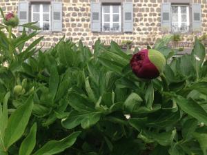 saint ilpize
