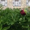 les jardins danna