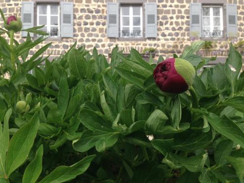 les jardins danna