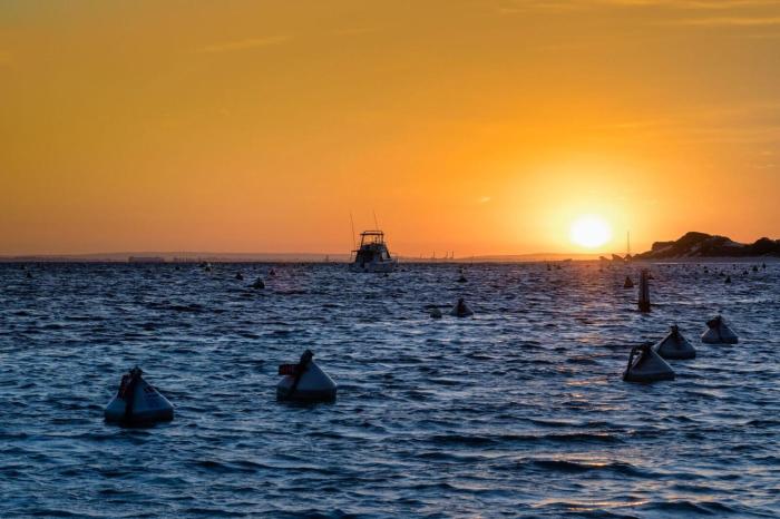 discovery resorts rottnest island