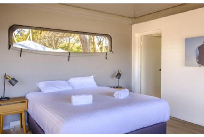 discovery resorts rottnest island