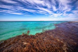 discovery resorts rottnest island