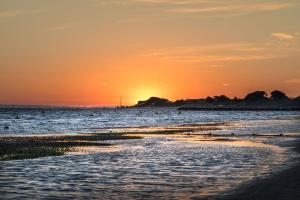 discovery resorts rottnest island