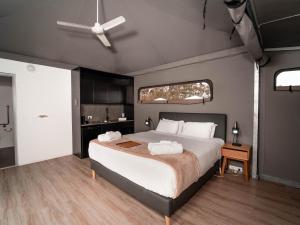 discovery resorts rottnest island