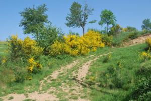 le moulin de la fortie