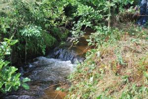 le moulin de la fortie