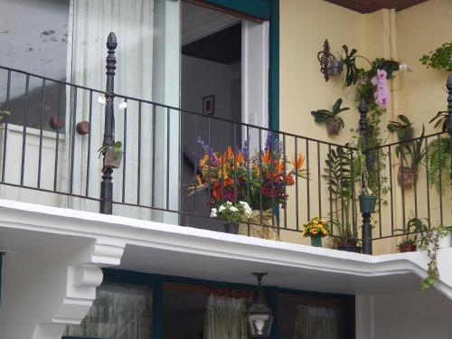 casa sao conrado