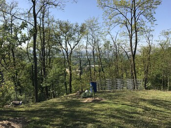 miribel