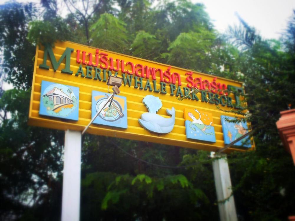 maerim whale park resort