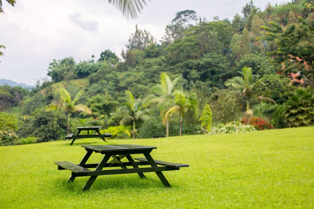 paradise kivu