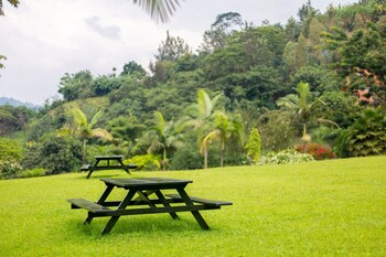 paradise kivu