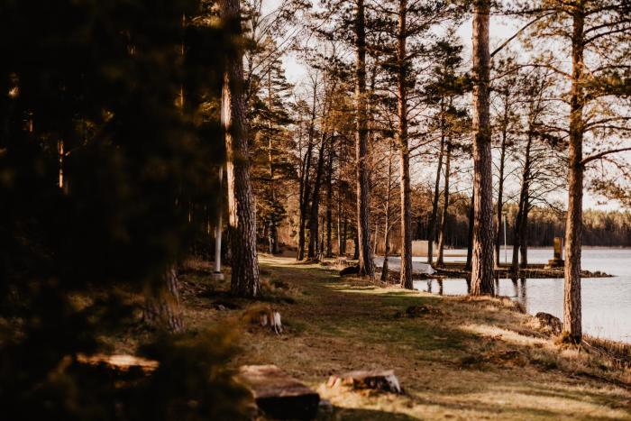 stiftsgarden tallnas