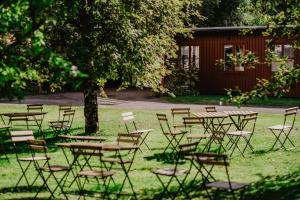 stiftsgarden tallnas