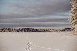 stiftsgarden tallnas
