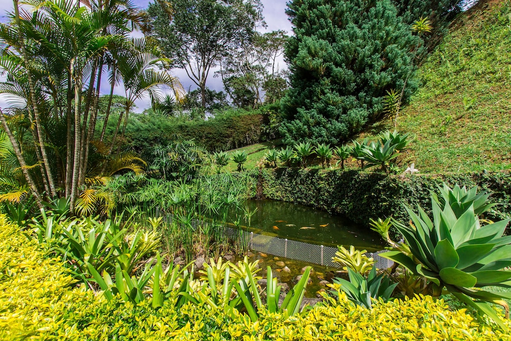 petropolis