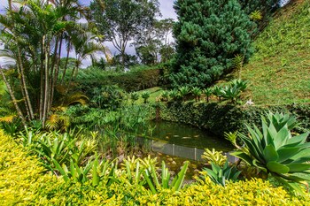 petropolis