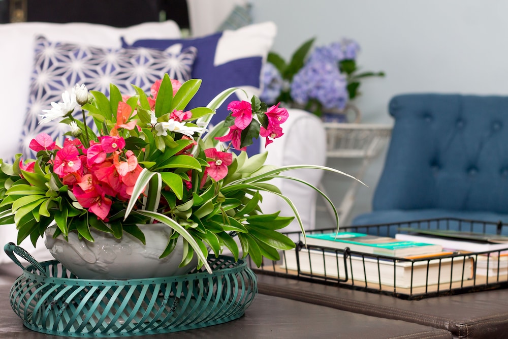 pousada chacara arace