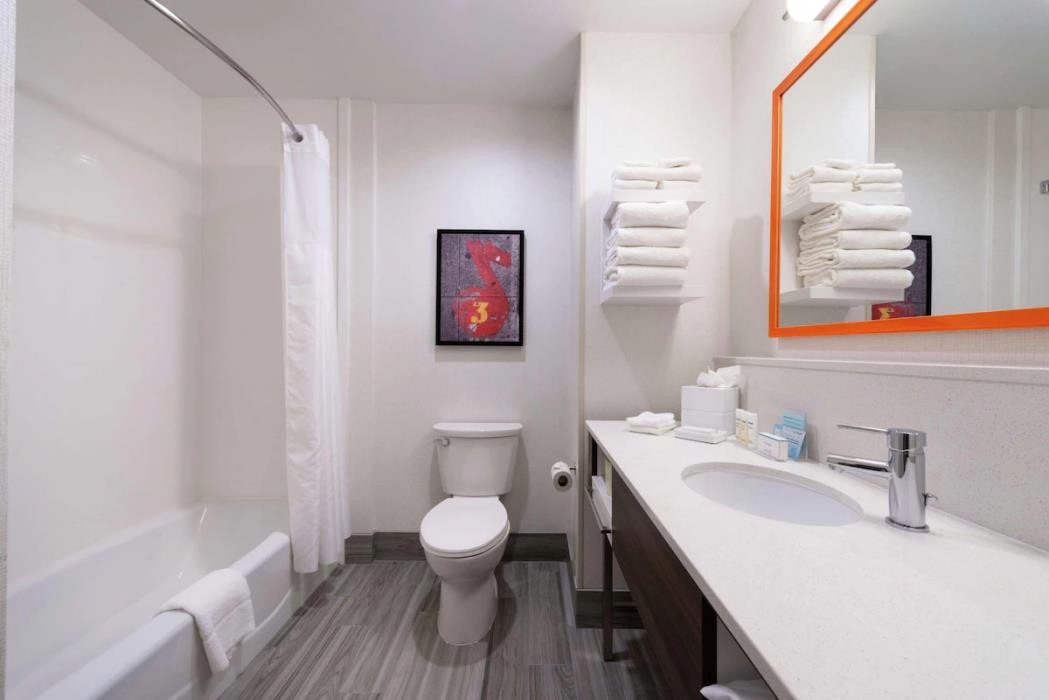 hampton inn and suites buena park