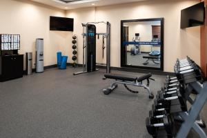 hampton inn and suites buena park